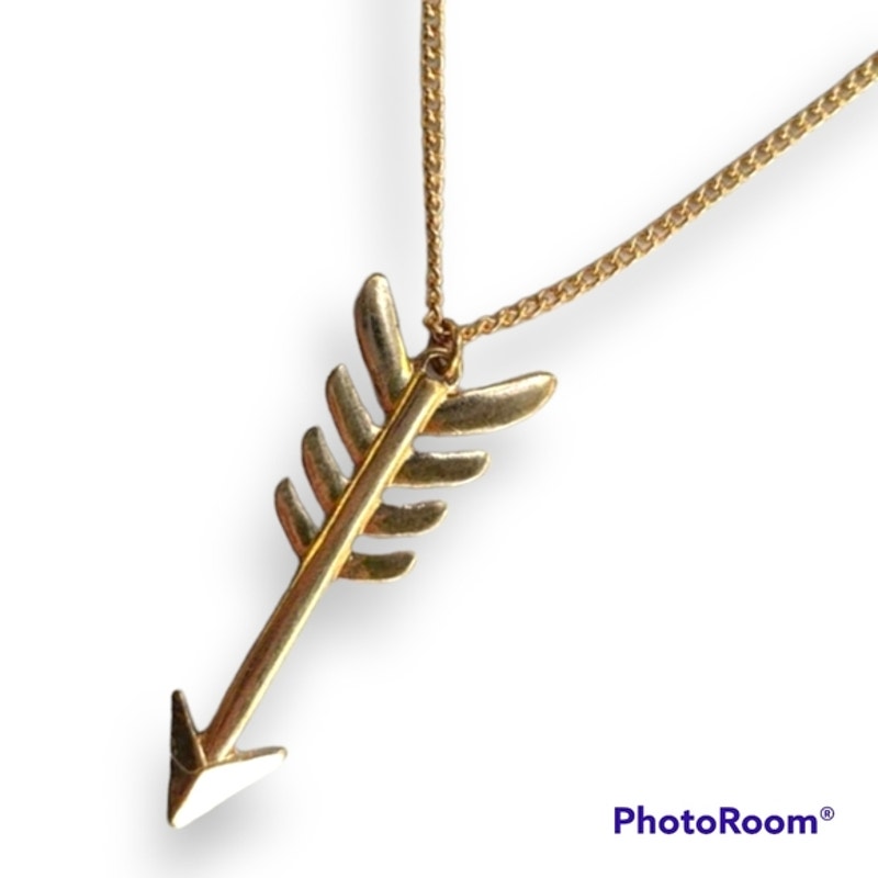 Golden Arrow Gold Tone Necklace 15$